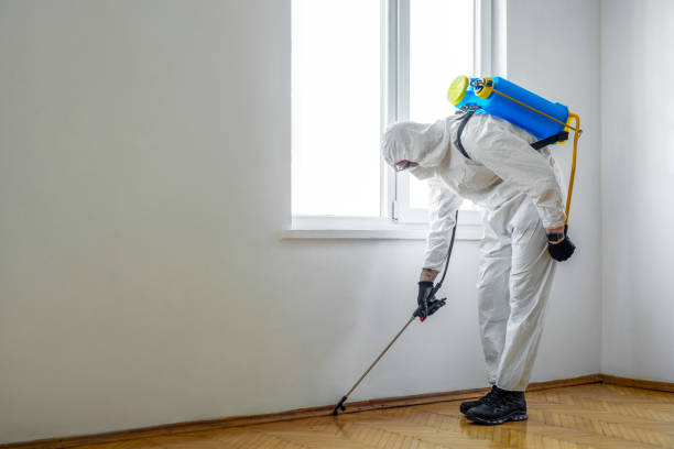 Best Residential Pest Control  in Choteau, MT